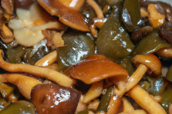 Staročeský houbový kuba